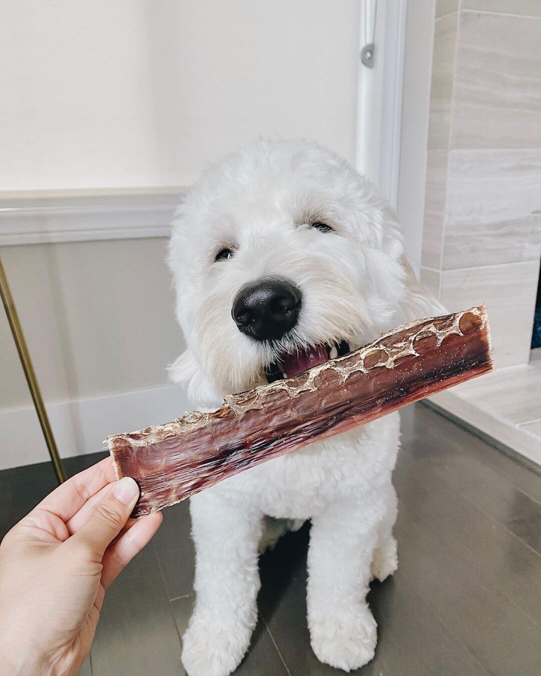 Beef Jerky Joint Health Treats