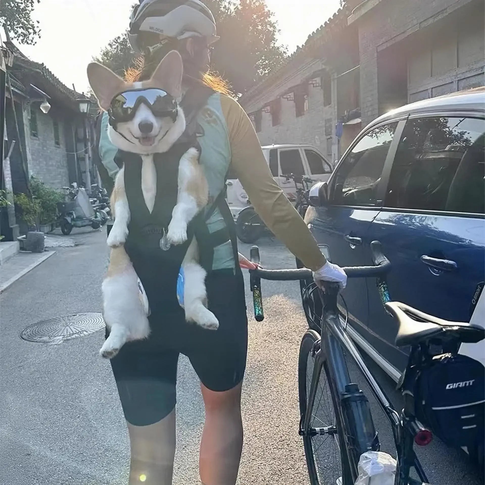 High Quality Dog Carrier Backpack Adjustable Pet Carriers Front Facing Motorcycle Pet Backpack Puppy Travel Bag Cycling Pet Bag