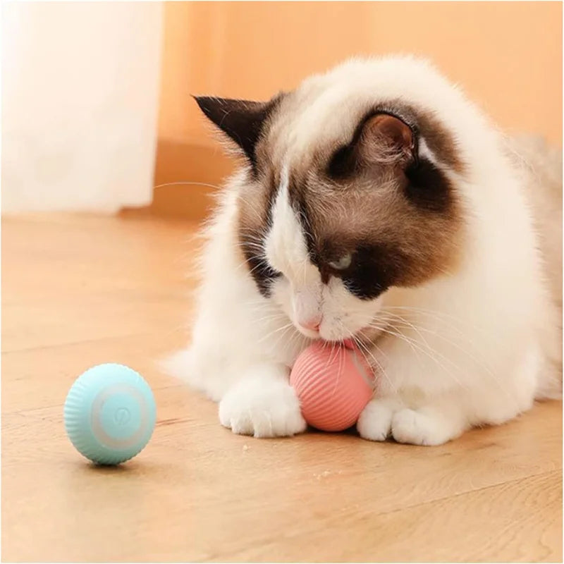Smart Cat Toys Automatic Rolling Cat Ball Electric Ball Cat Interactive Toy for Cats Training Self-Moving Kitten Toy Accessories