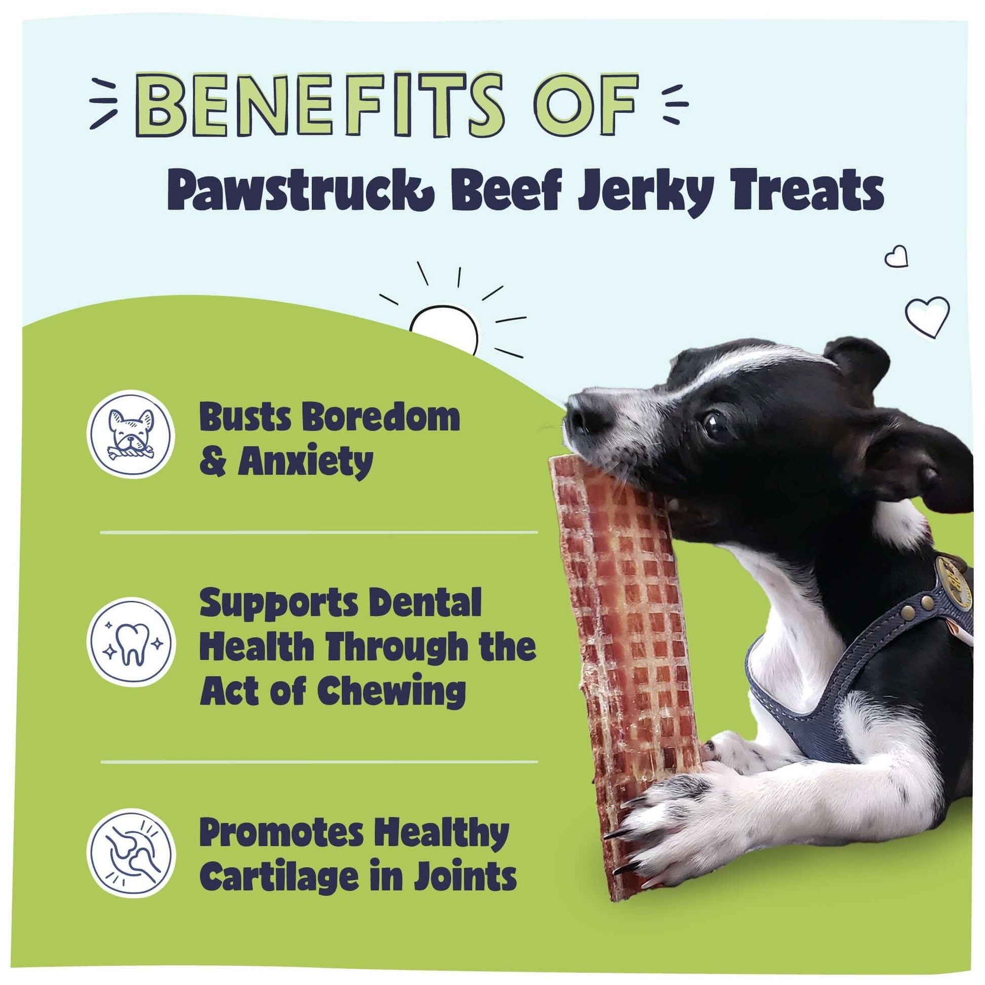 Beef Jerky Joint Health Treats